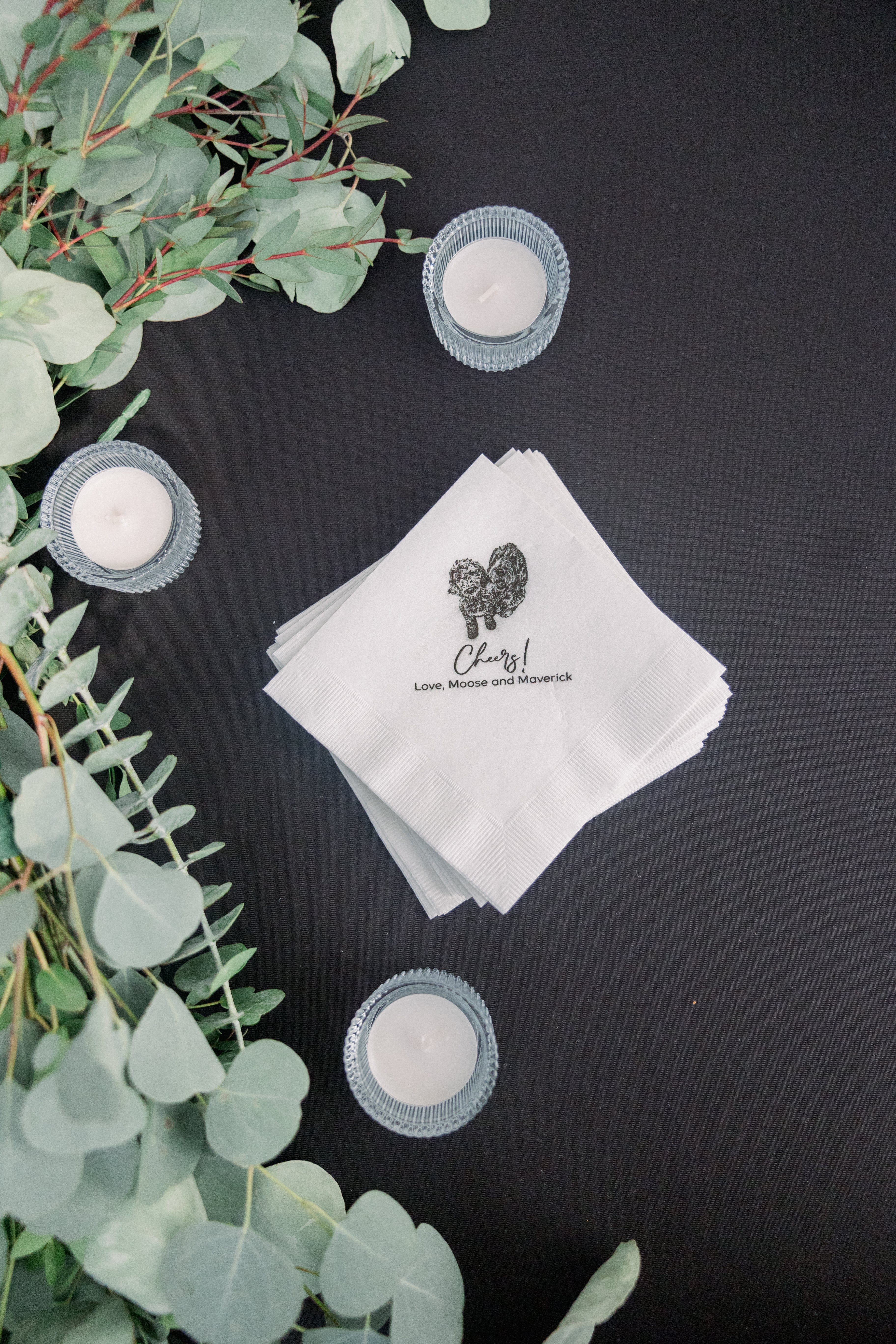 Furry Friend Cocktail Napkins Furry Friend Cocktail Napkins