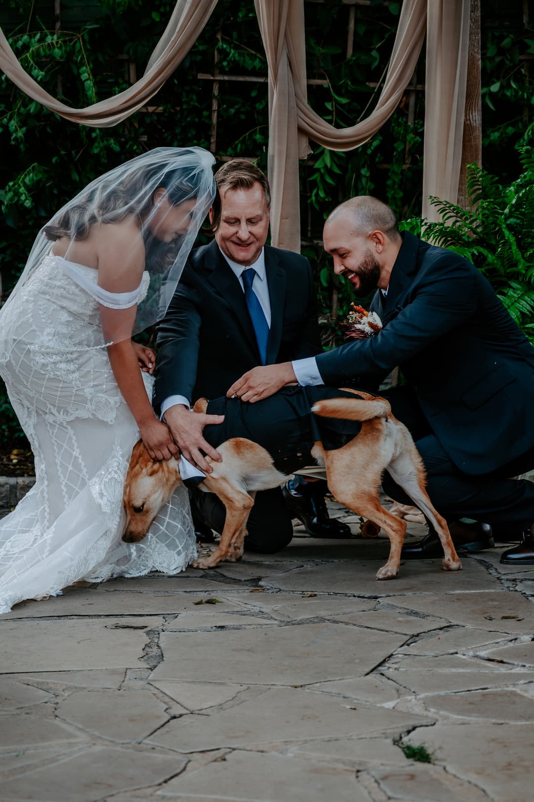 Best Dog upholding his Ring Bearer duties!