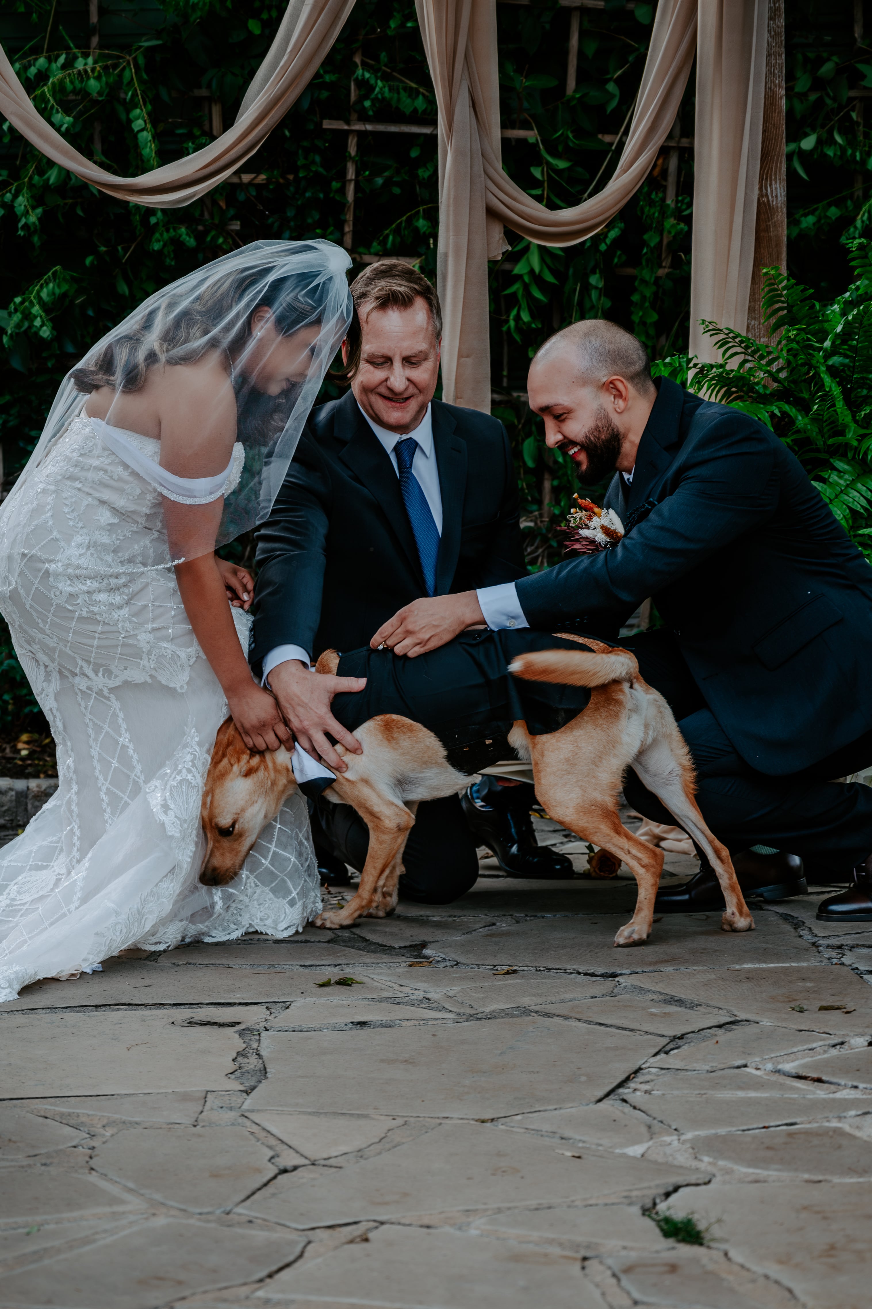 Best Dog upholding his Ring Bearer duties! Best Dog upholding his Ring Bearer duties!